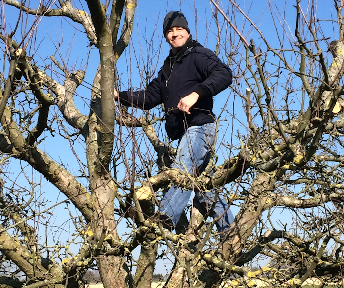 Obstbaumschnitt gestern und heute